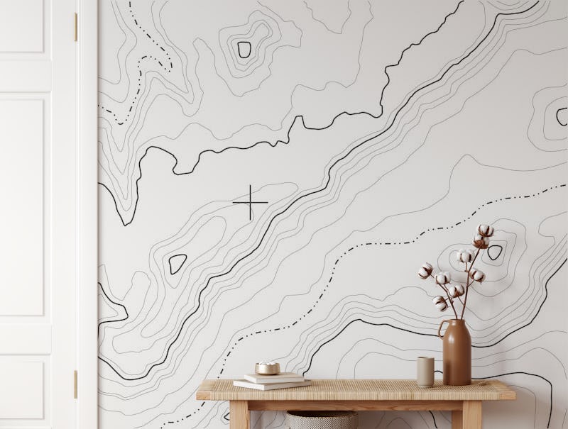 White topographical map