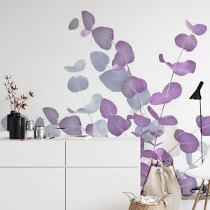 Eucalyptus Bouquet Dream 4