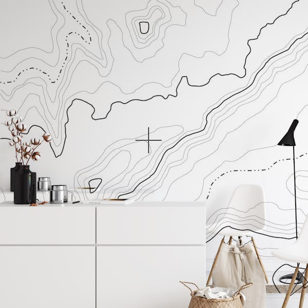 White topographical map