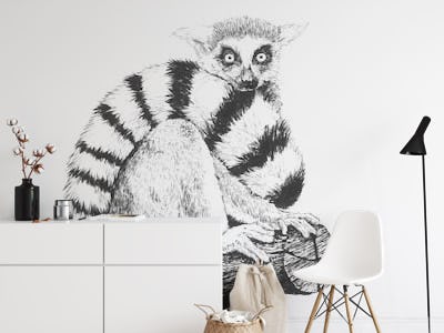 Lemur drawing