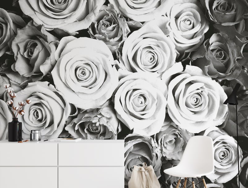 Roses black and white