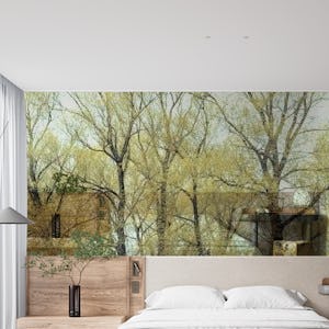 Tapestry of Forest Trees