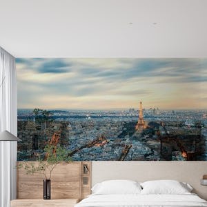 Paris city Panorama