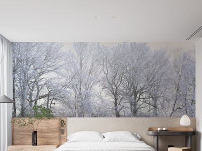 Misty forest 4