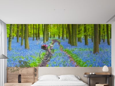Bicycle in spring forest 4