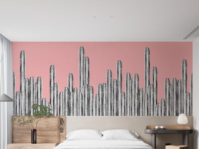 Cactus landscape