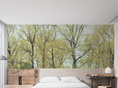 Tapestry of Forest Trees
