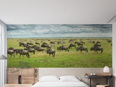 Great Migration in Serengeti Plains