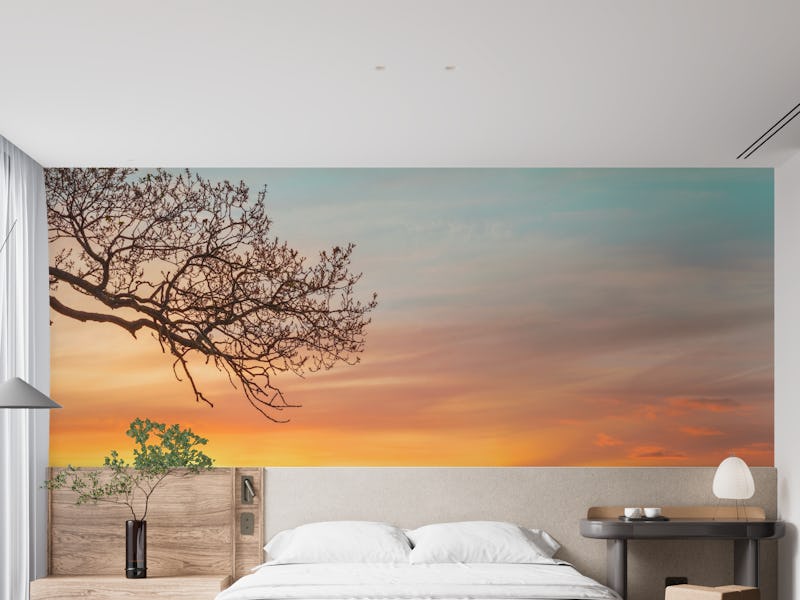Branches at sunset