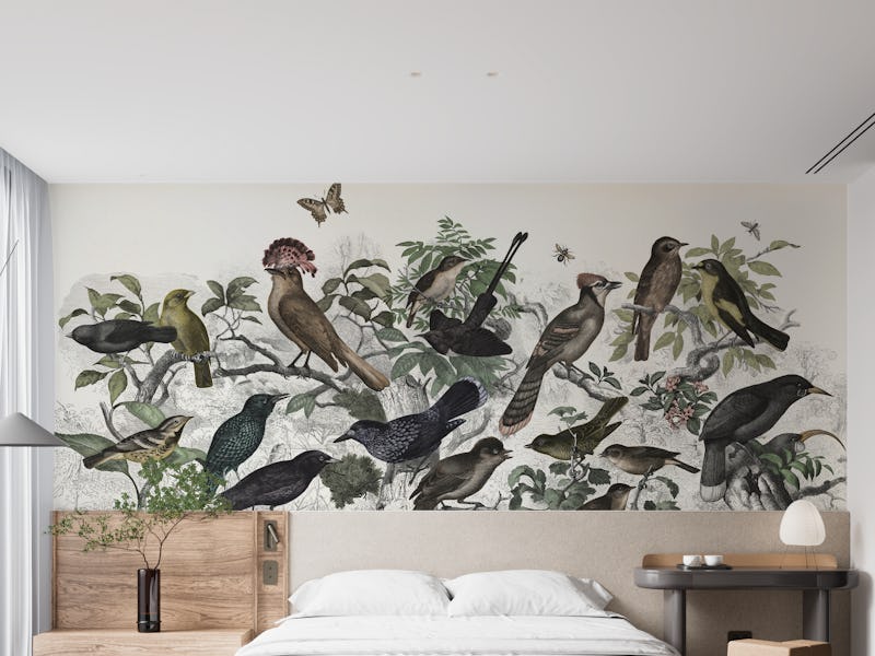 Forest birds colour