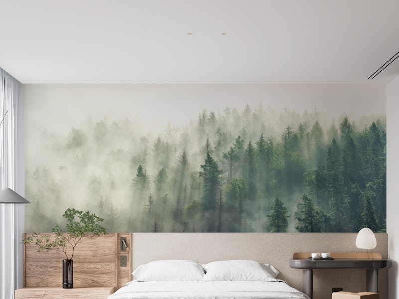 Panoramic forest