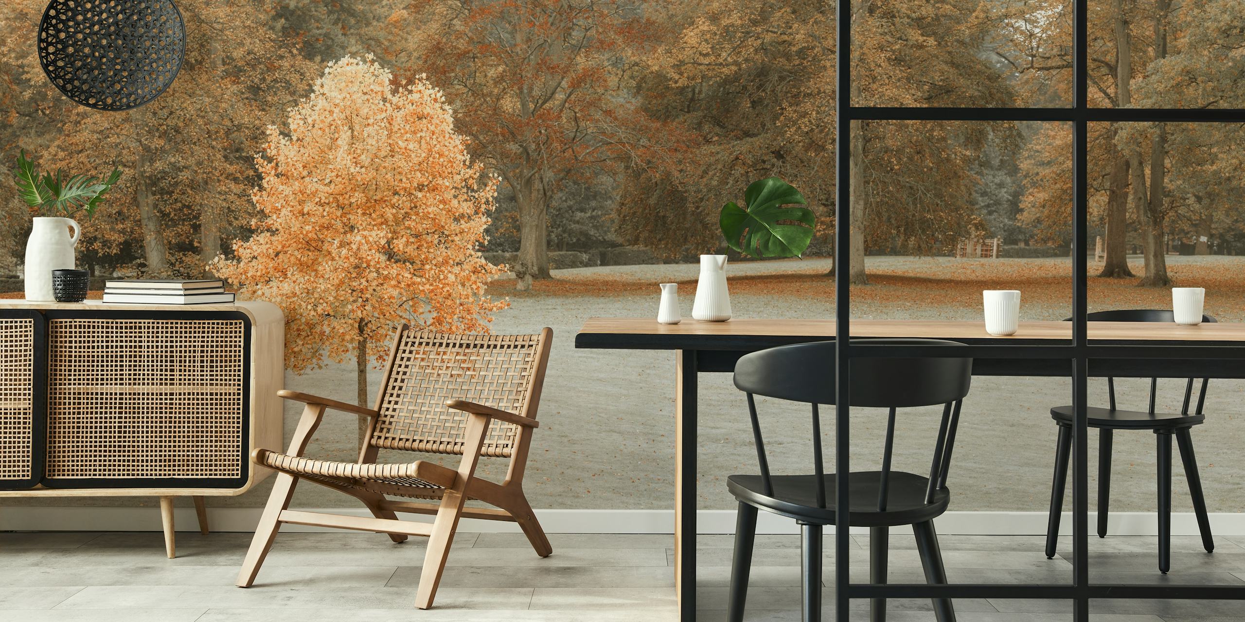 Autumn wallpaper featuring a lone tree