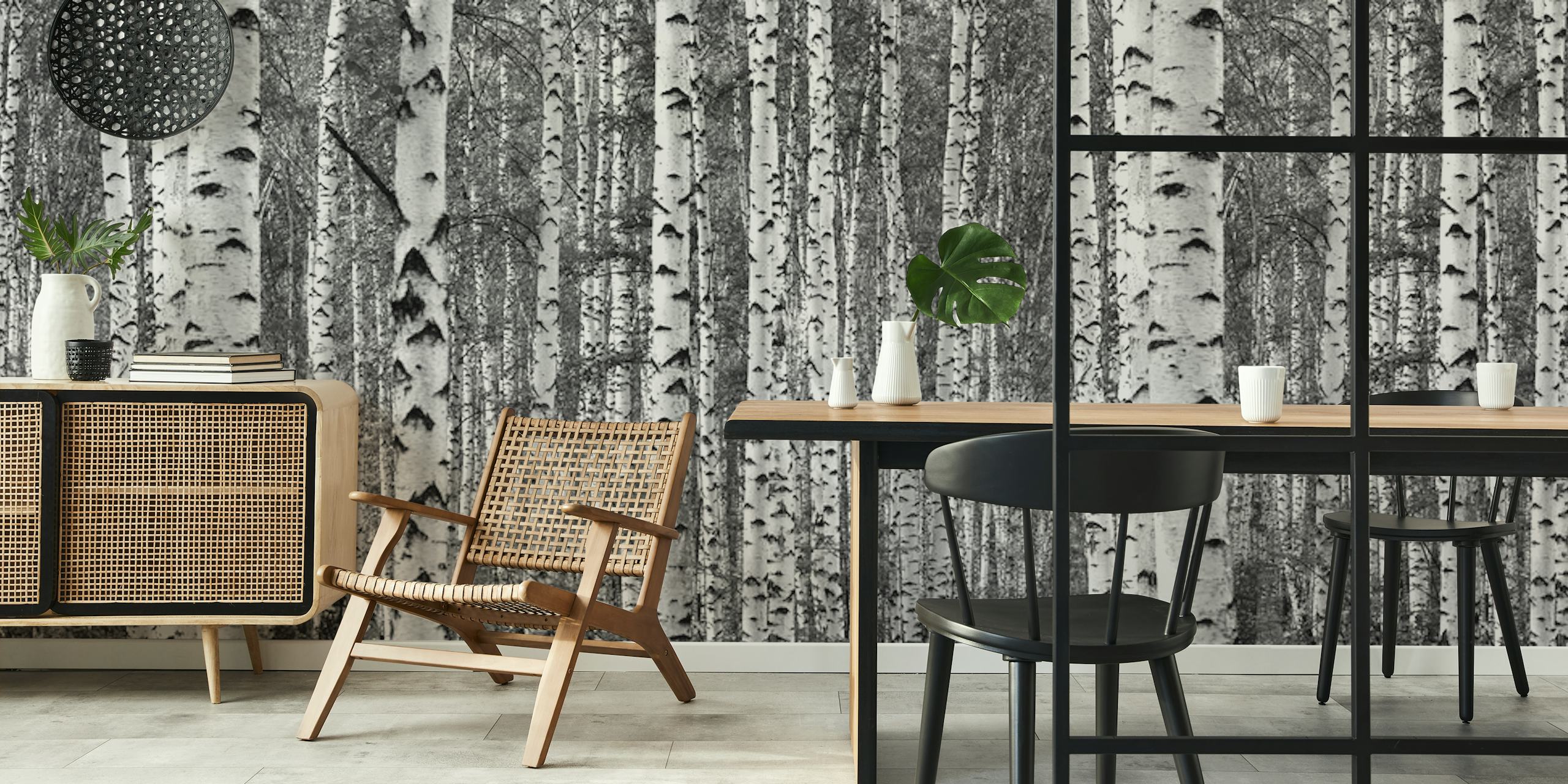 Birch trees black and white wallpaper in a room