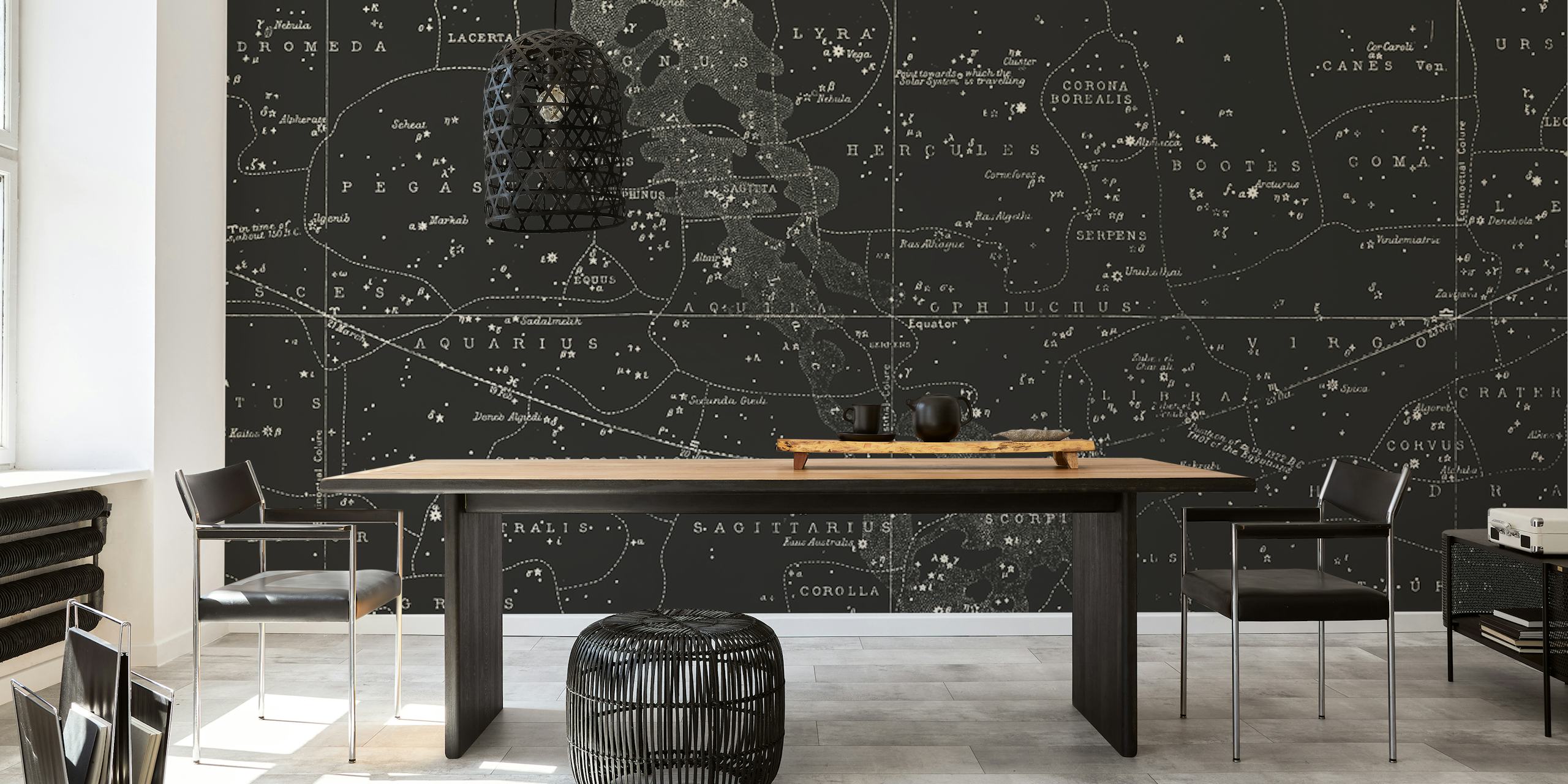 Black and white wall mural featuring zodiac signs and constellations for interior decor