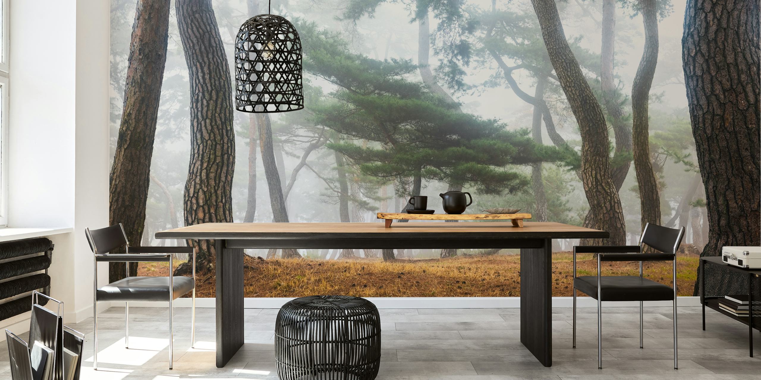 Misty forest wall mural depicting tall pine trees surrounded by a soft fog