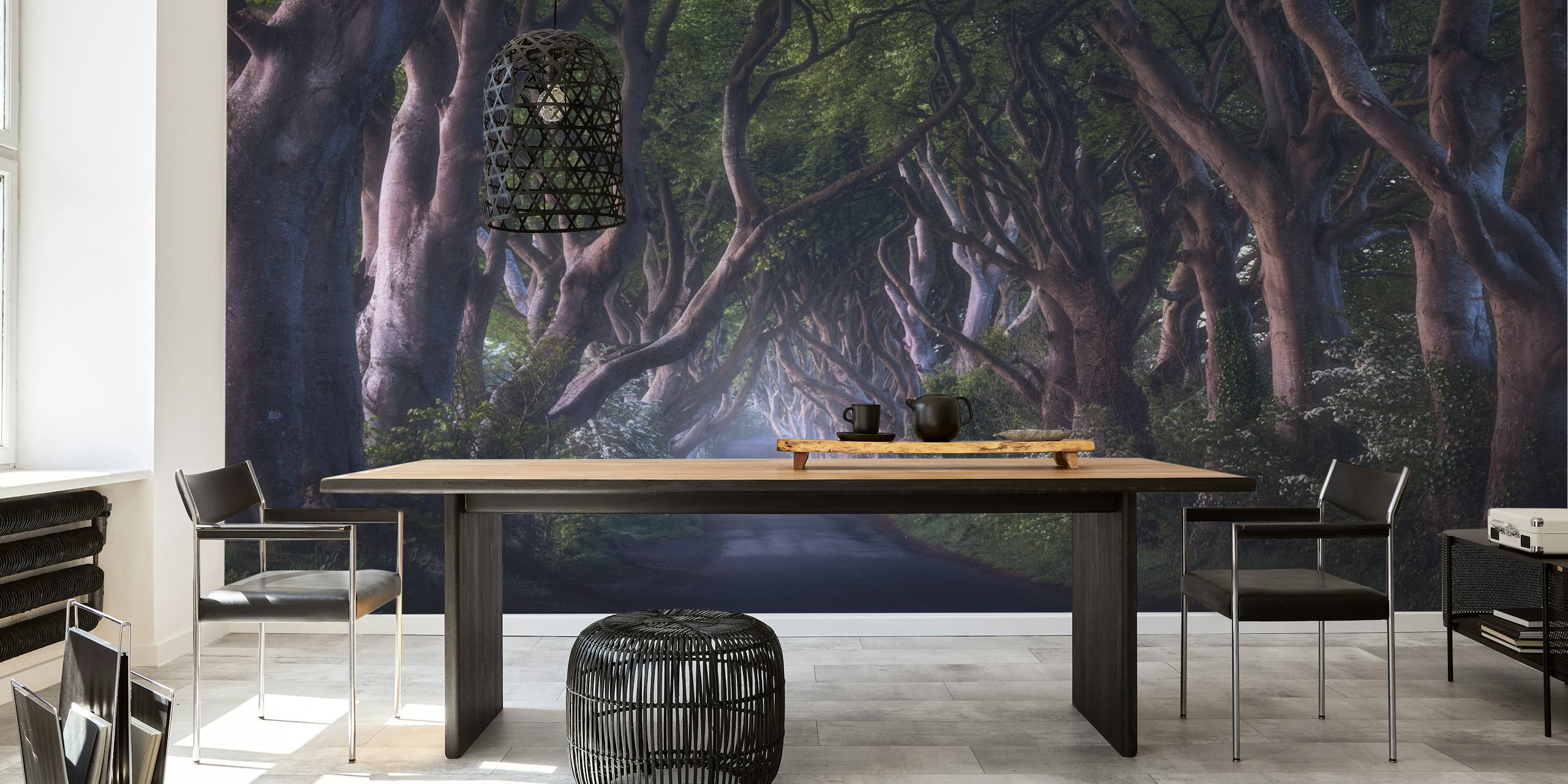 Tapeta The Dark Hedges w pokoju