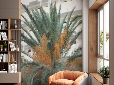 Canary Island Palm Dream 1