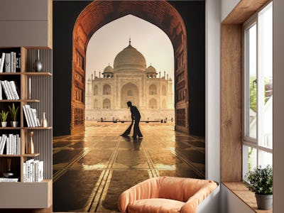 taj mahal cleaner