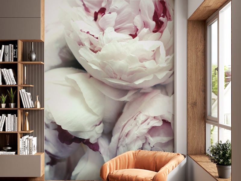 Peonies2