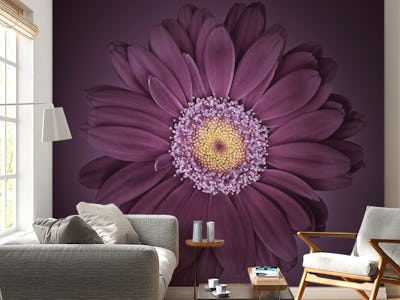 Purple Floral Radiance