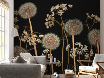 Meadow flowers 4