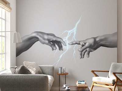 Contact