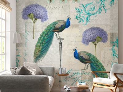Peacock Nostalgia