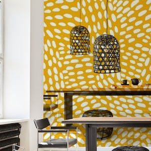 Dotted lines on ochre