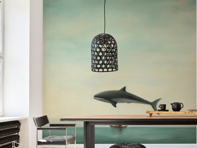 Minimal Dolphin