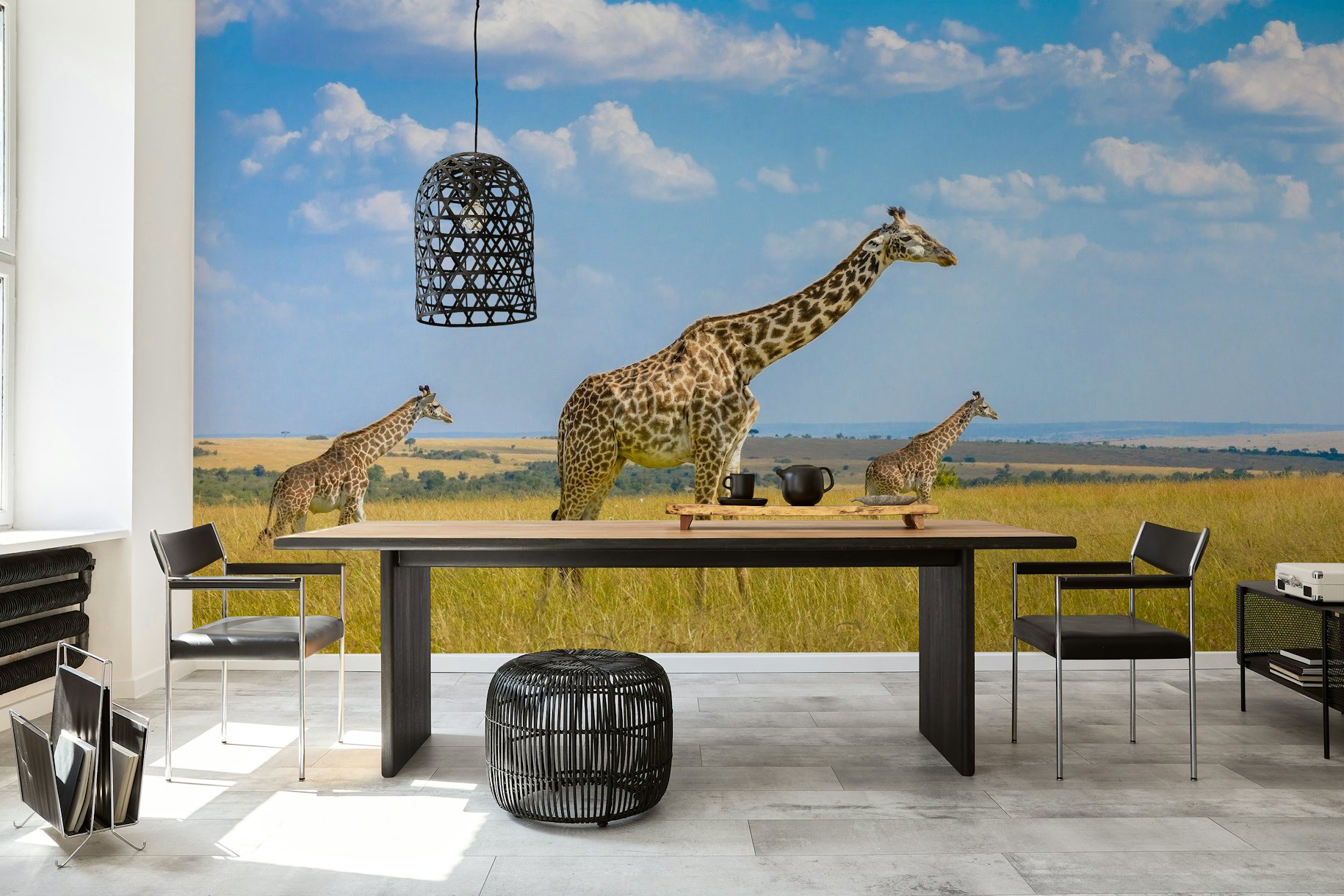 Trio Giraffes wallpaper