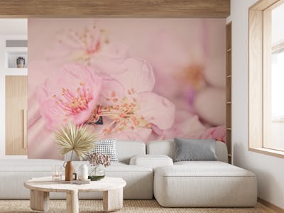 Pink Pastel Peach Tree Flowers
