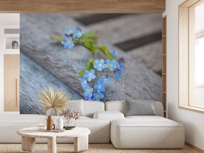 Forget Me Not Flower Still