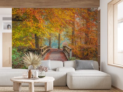 Tranquil Transition