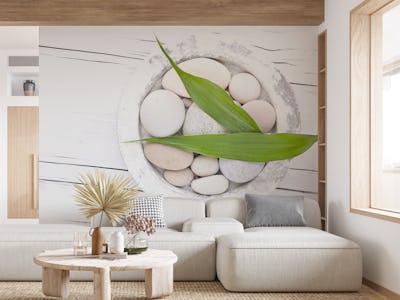 Zen Style Still Pebble And Green Leaf