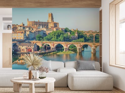 The city of Albi