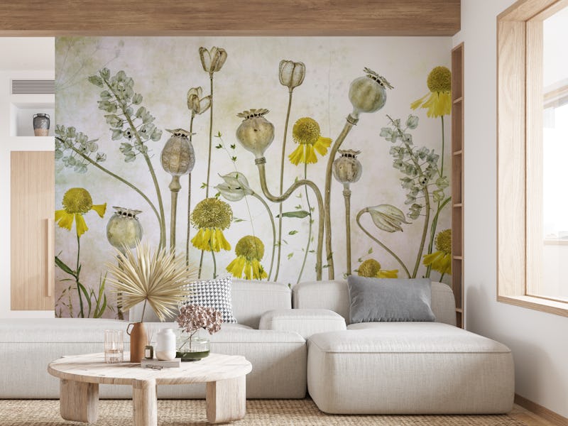 Poppies and Helenium