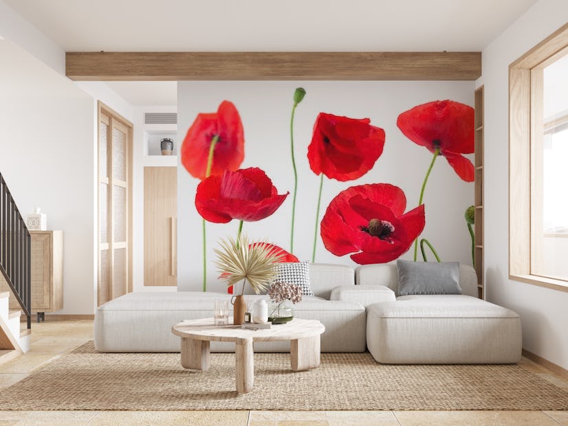 Poppies on white background wallpaper - Happywall
