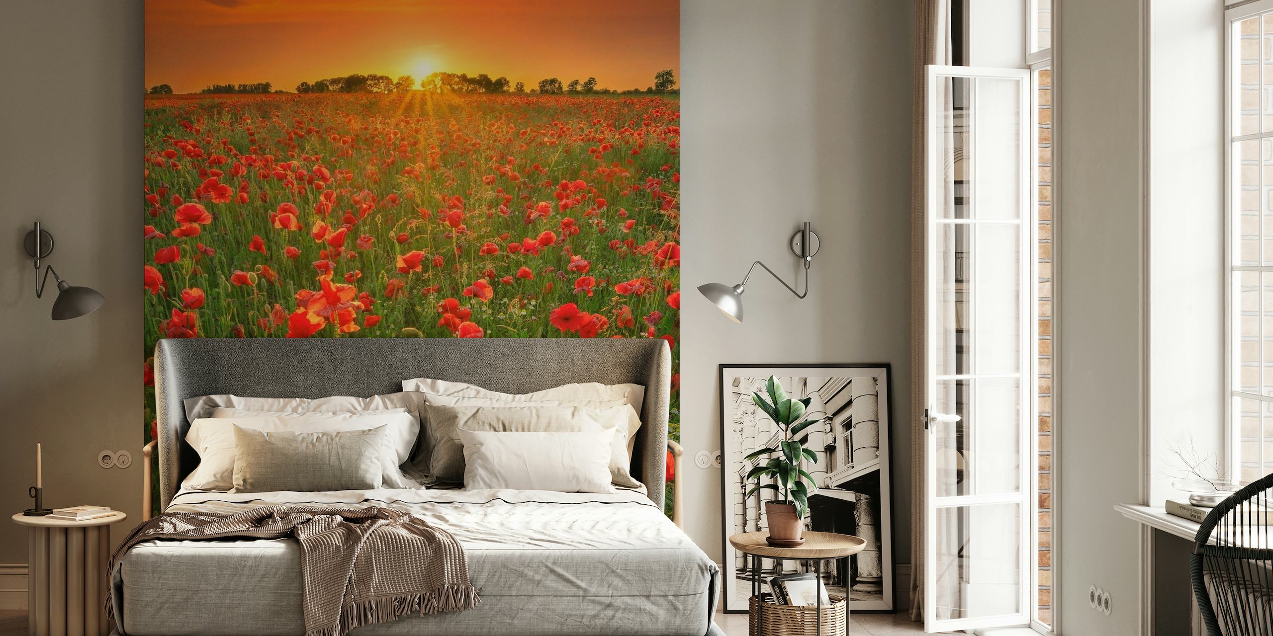 Poppies at sunset papel de parede