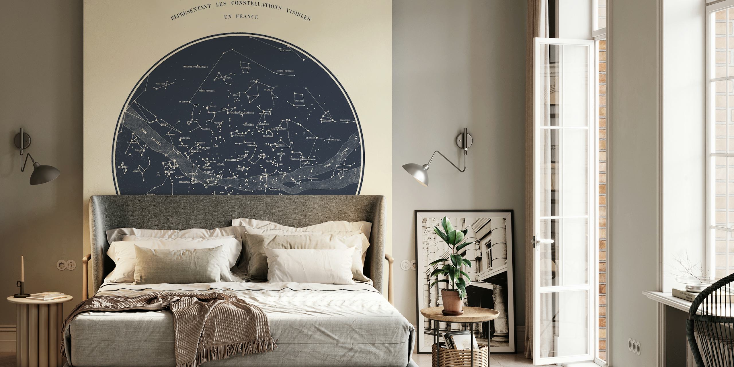 Celestial star map design in navy blue and cream wallpaper