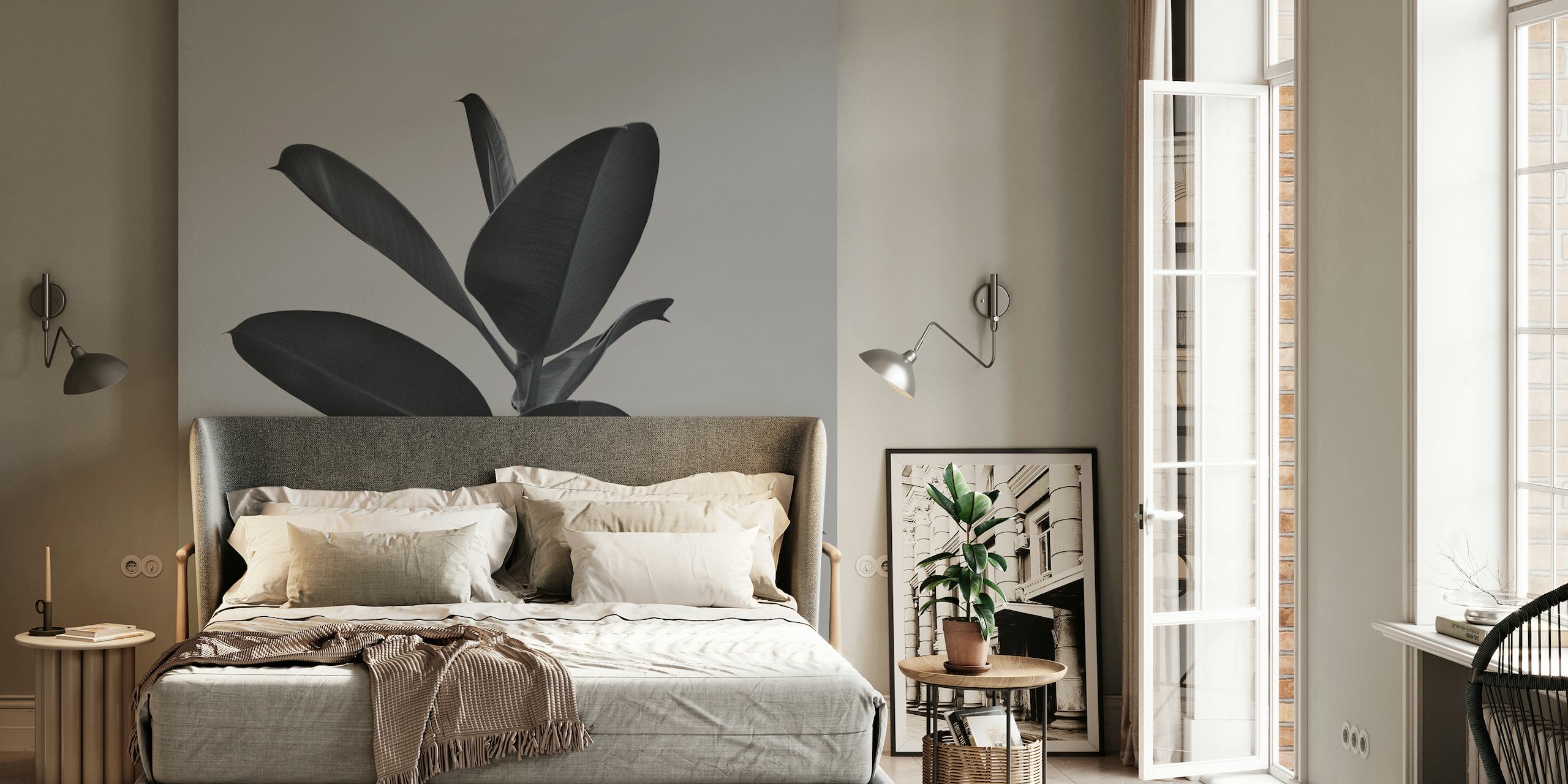 Monochrome wall mural of a Ficus plant