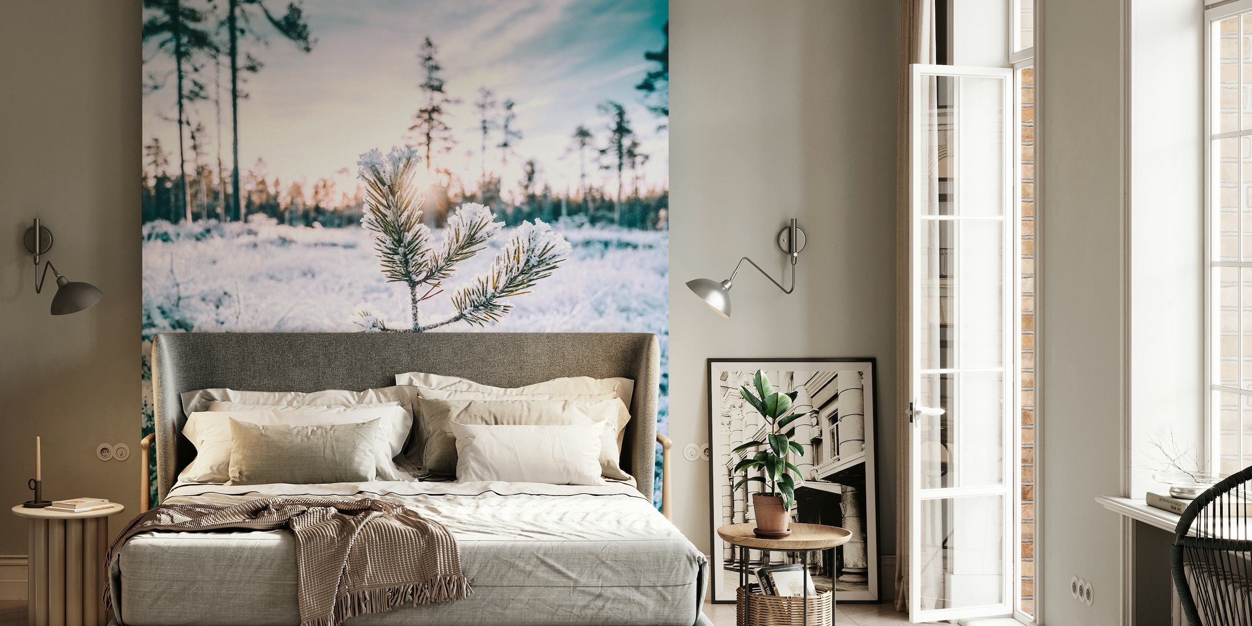 Photo murale d'un jeune arbre de pin enneigé à Hälsingland, en Suède
