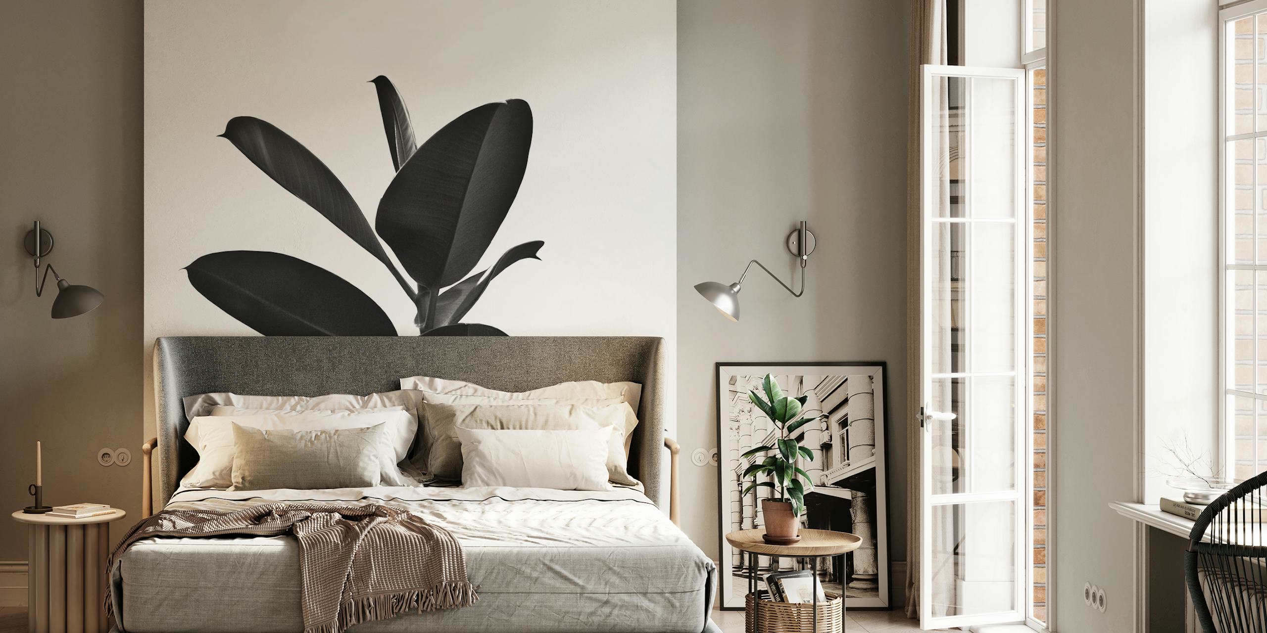 Ficus Finesse 2 zidna obloga u sobi