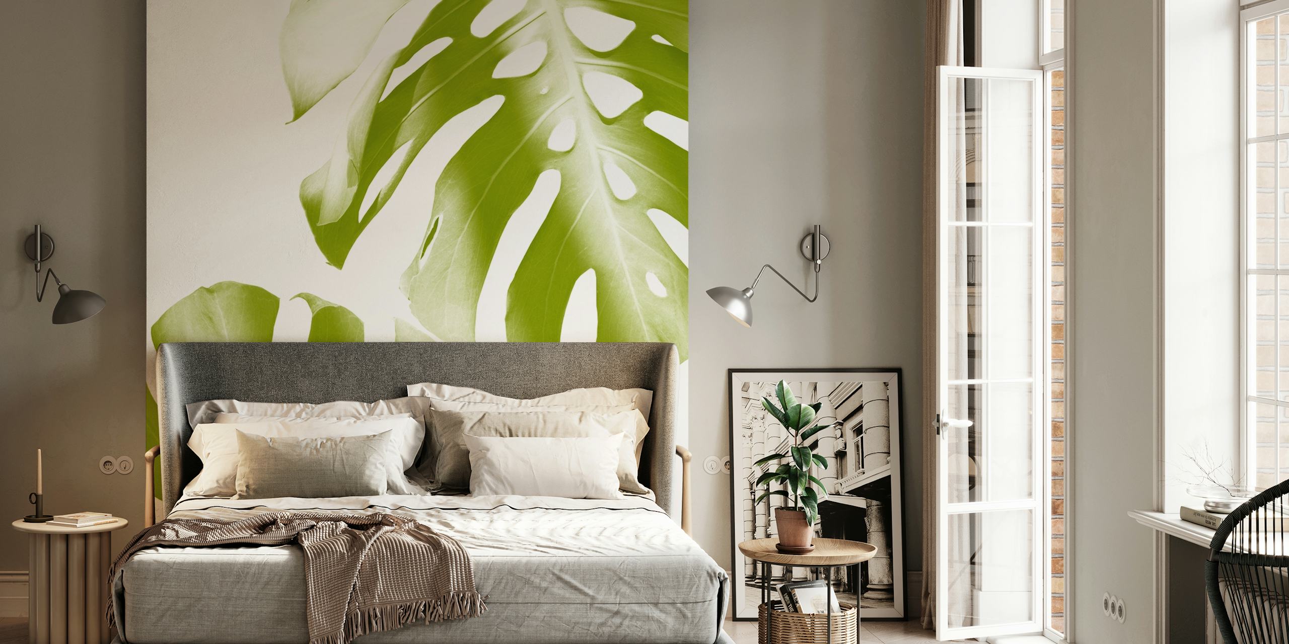Green Monstera leaves on white background wallpaper
