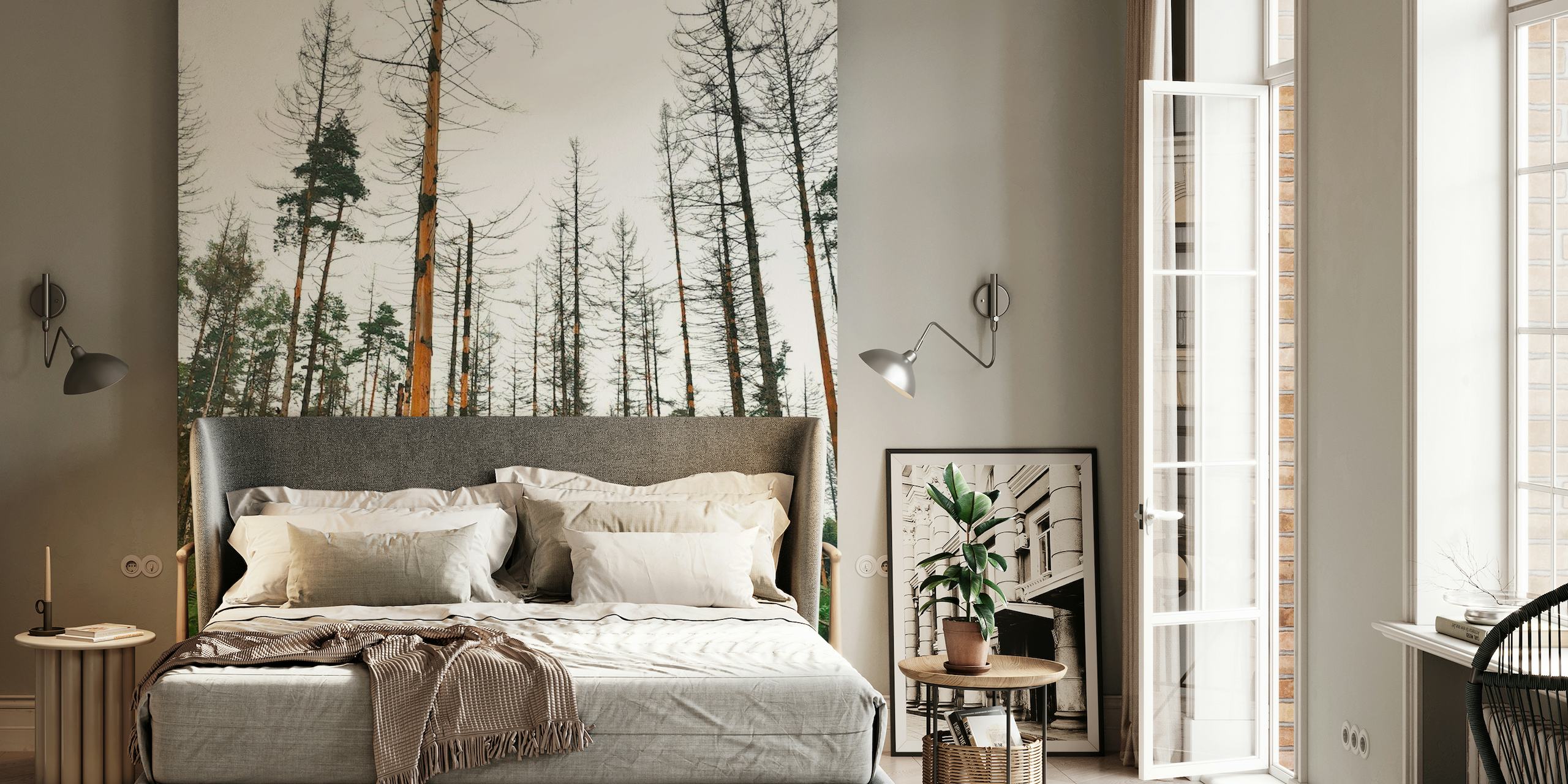 Wall mural of an autumn forest with tall trees and a green fern-covered floor.