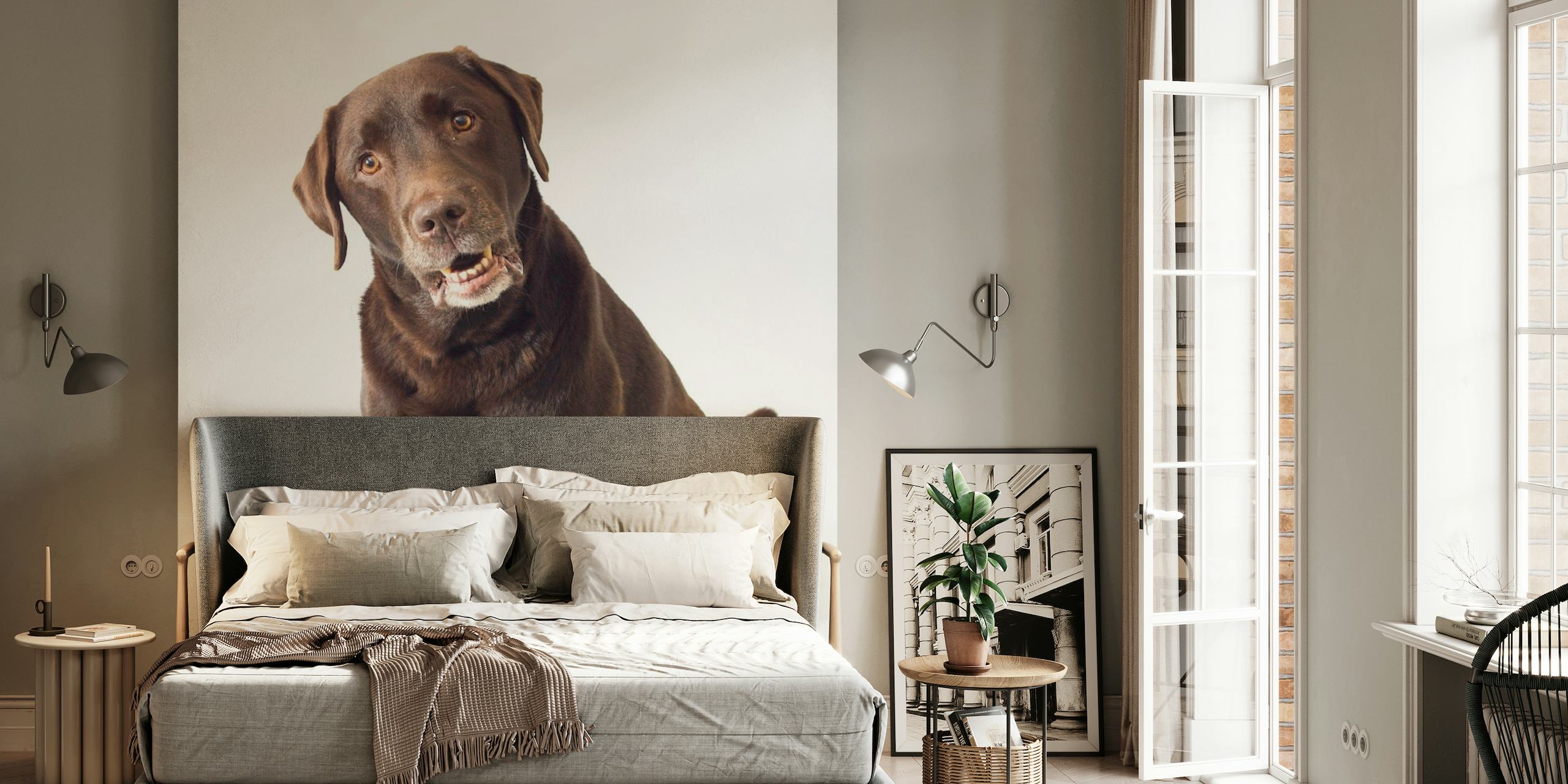 Brown Labrador wallpaper