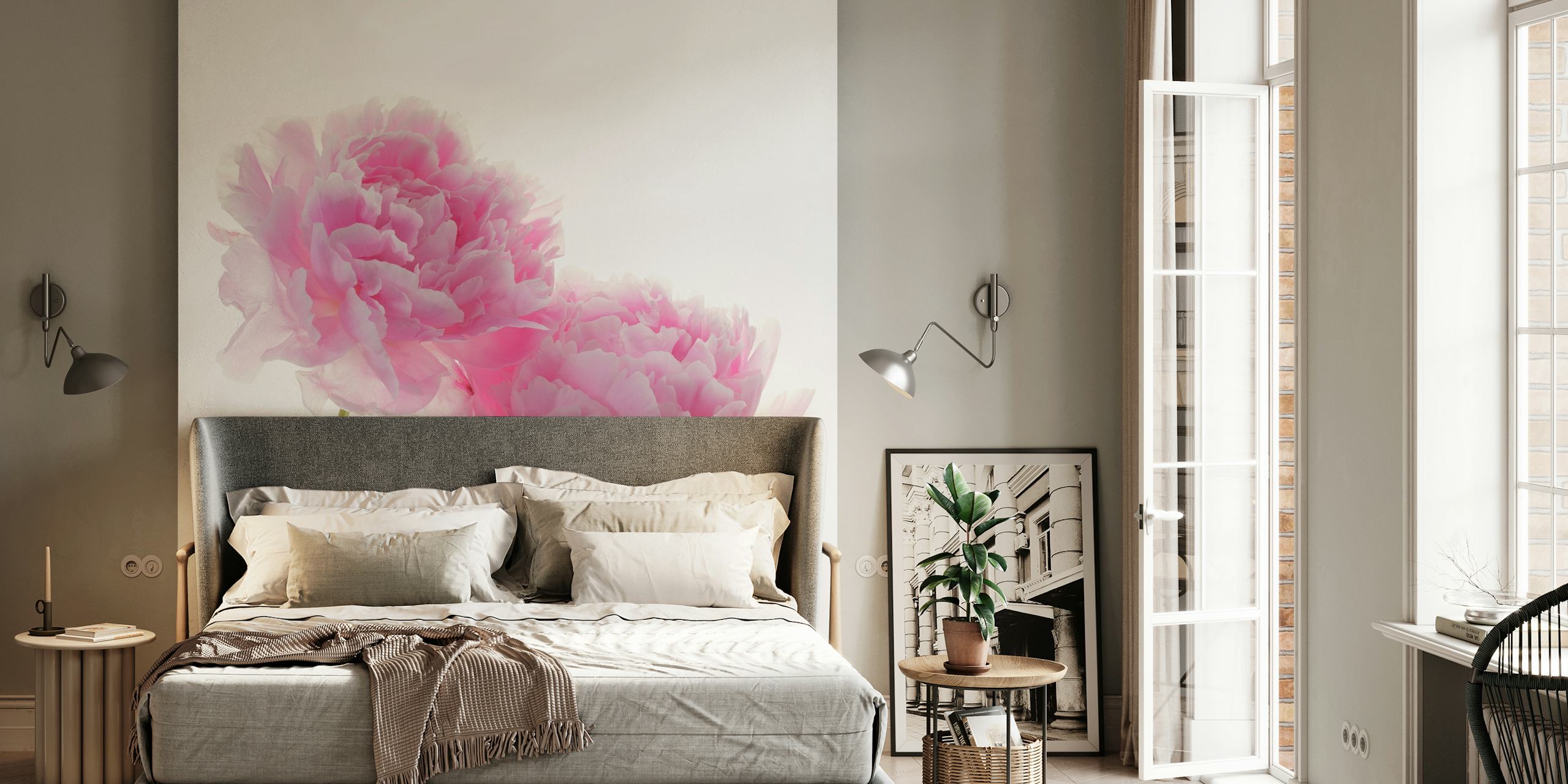 Zwei zarte rosa Pfingstrosen vor einem weißen Hintergrundwandgemälde