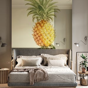 Pineapple 1 - Aster