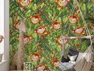 Monkeys in Jungle