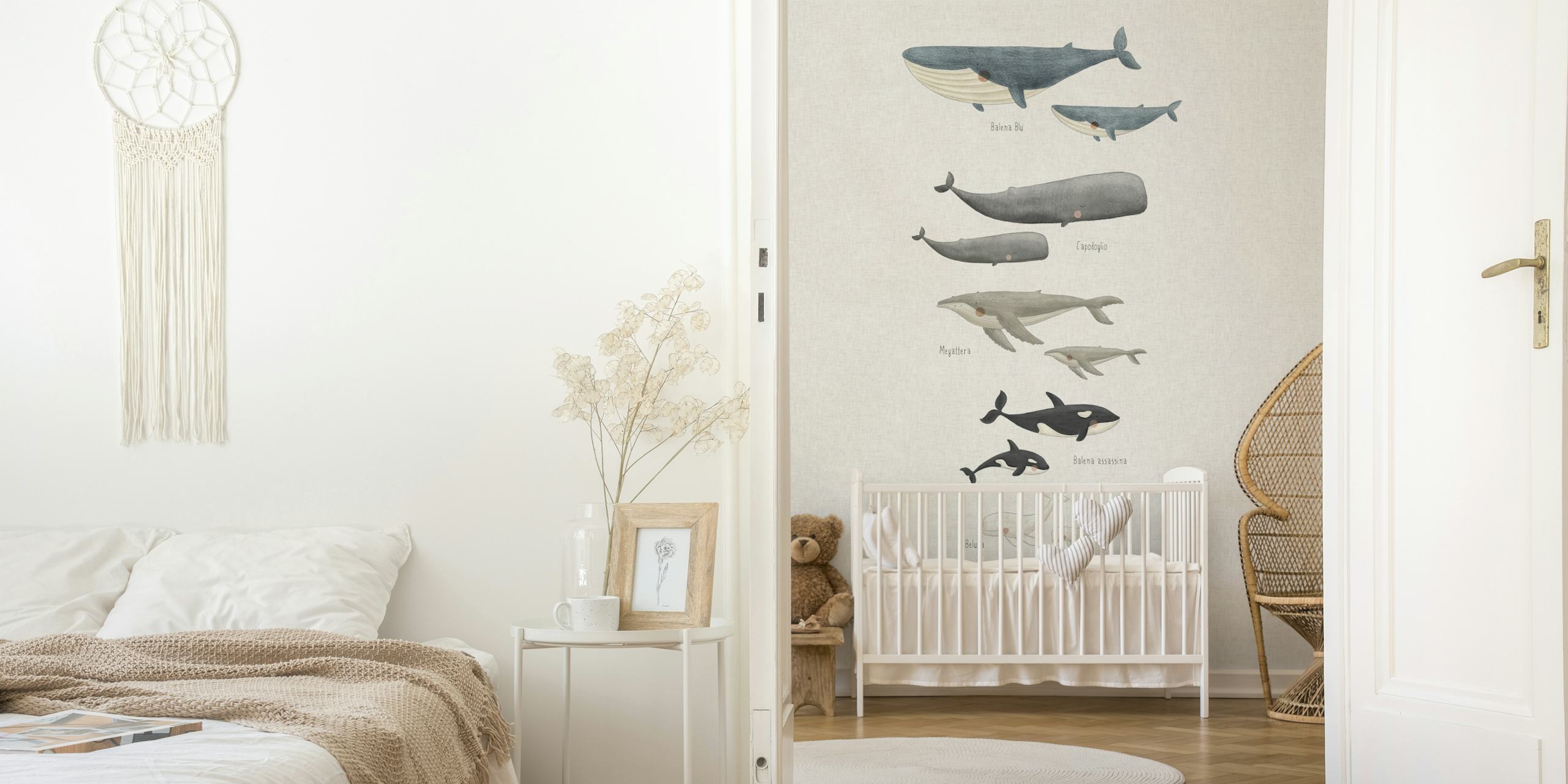 Whale species Italian behang in een kamer