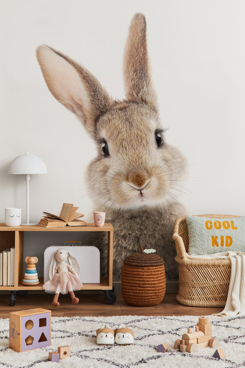 Peek-a-boo Bunny wallpaper